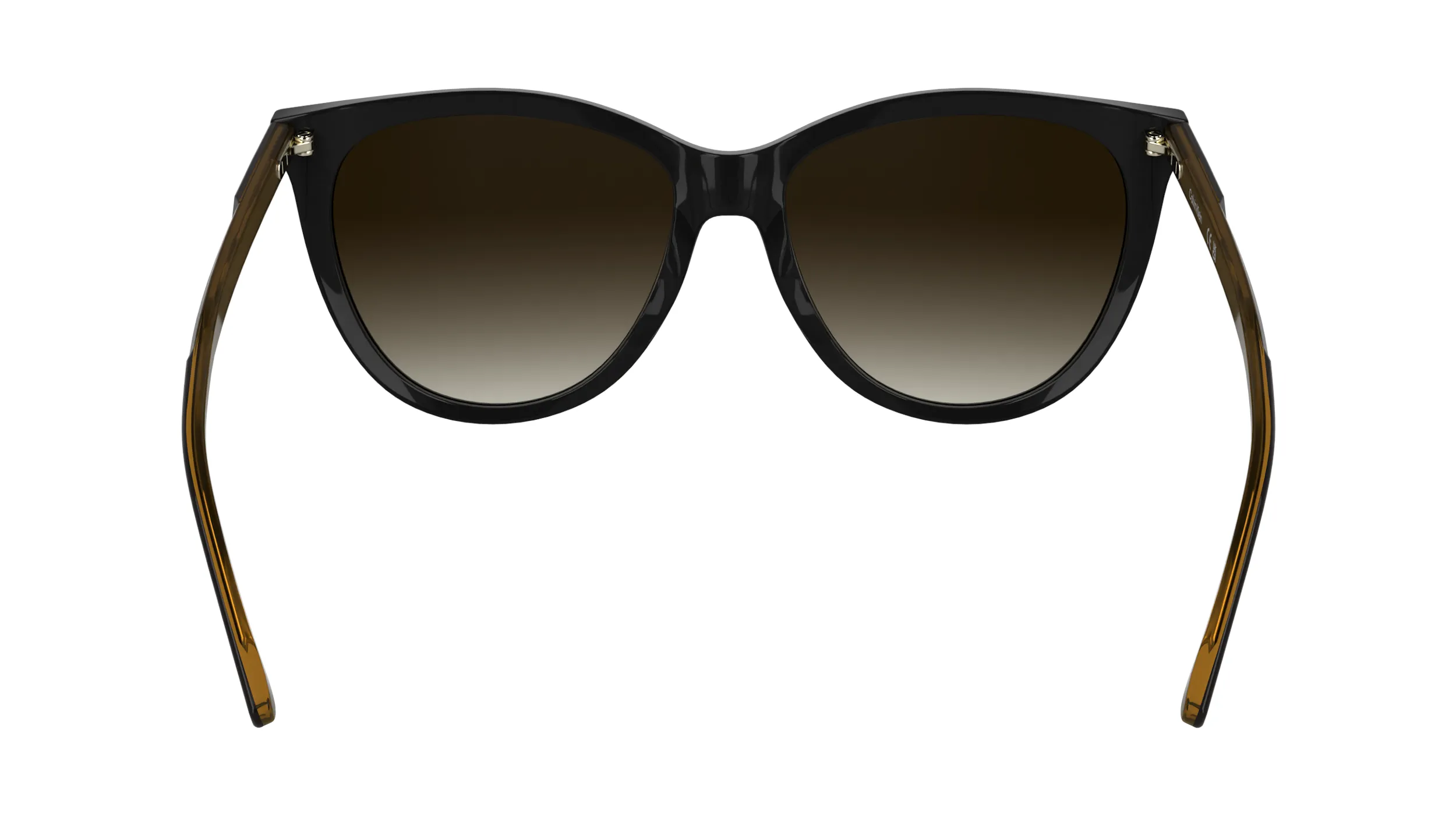 Calvin Klein CK25508S 1