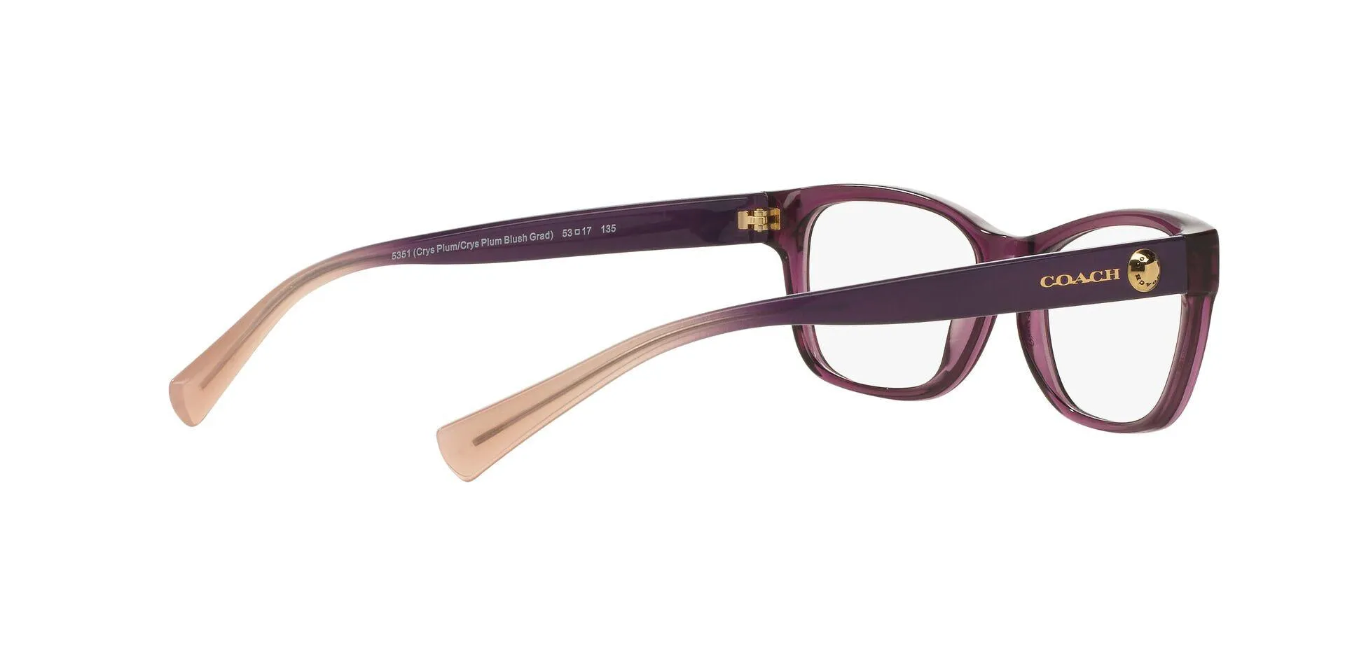 Coach 6082 Eyeglasses