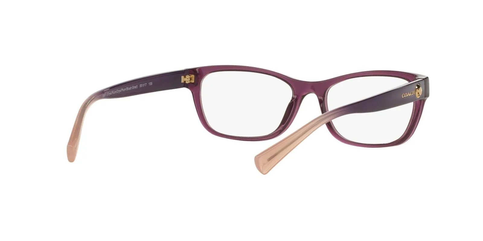 Coach 6082 Eyeglasses