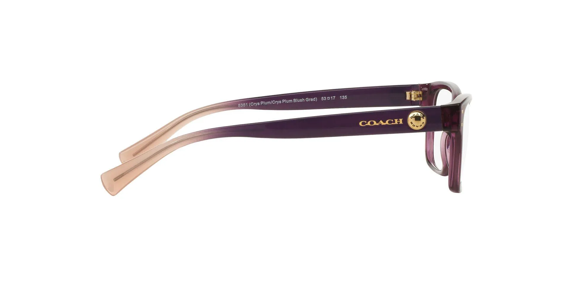 Coach 6082 Eyeglasses