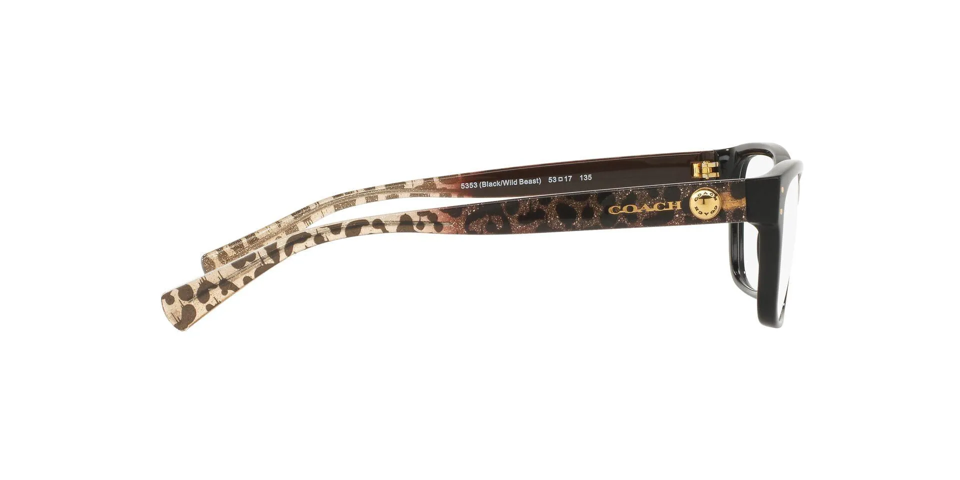 Coach 6082 Eyeglasses