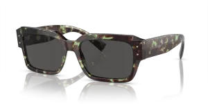 Dolce & Gabbana DG4460 343287