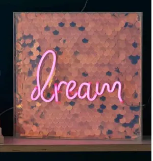 Dream LED Neon Light