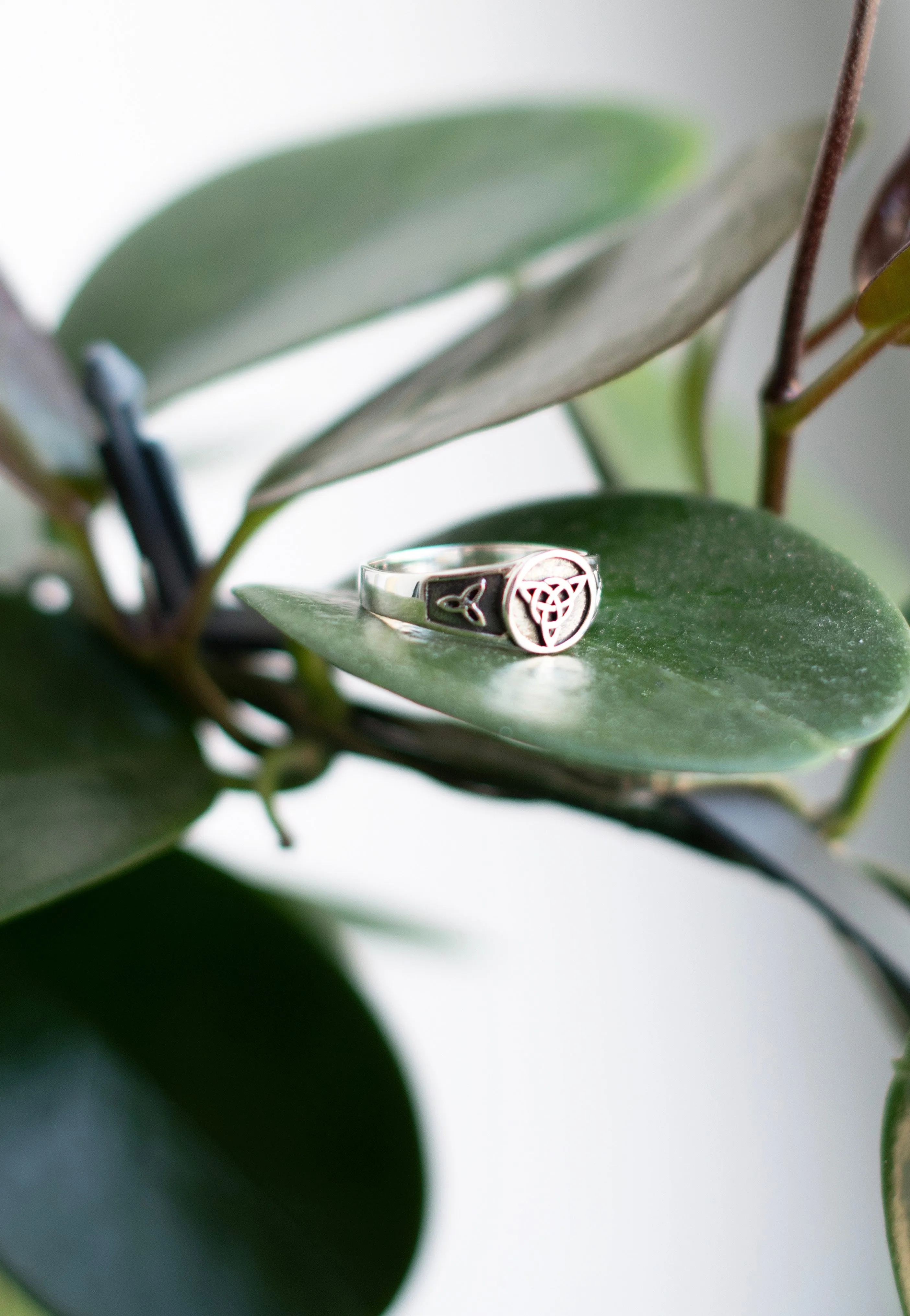 etNox - Keltischer Knoten Silver - Ring