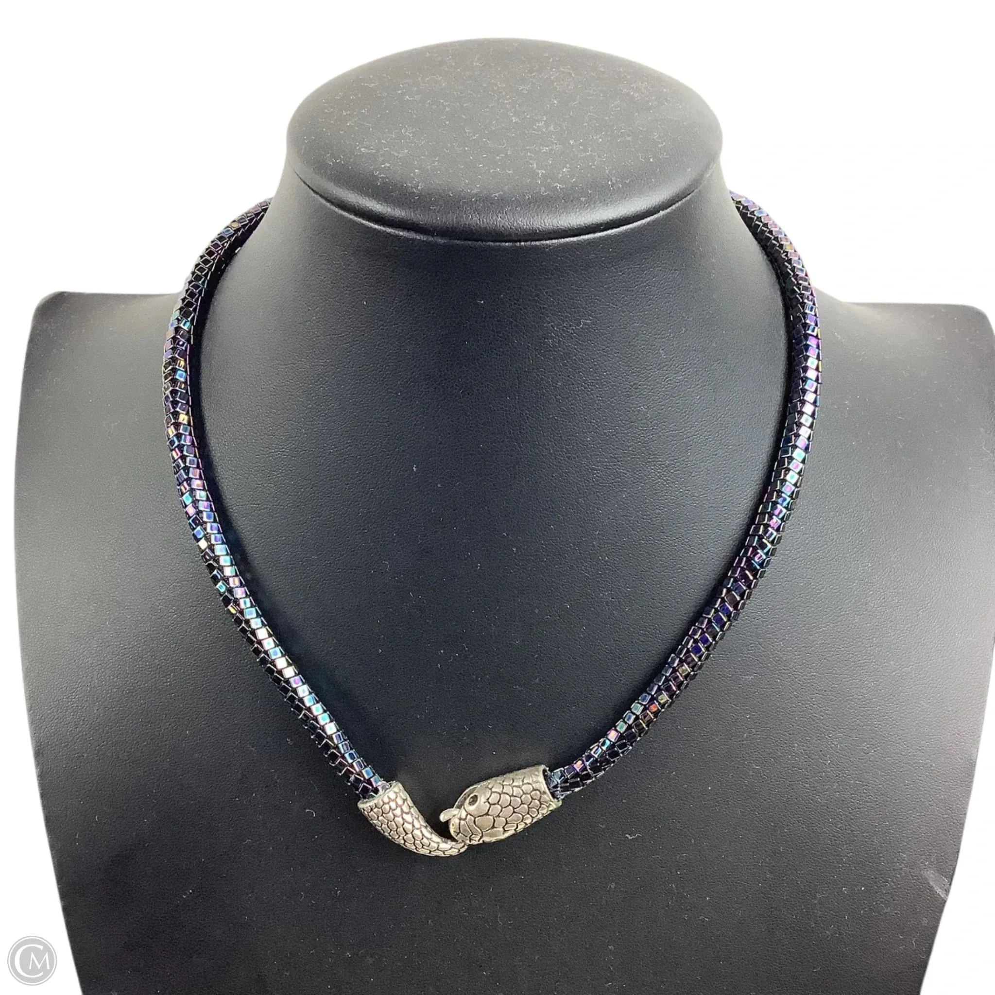 Necklace Chain By Clothes Mentor