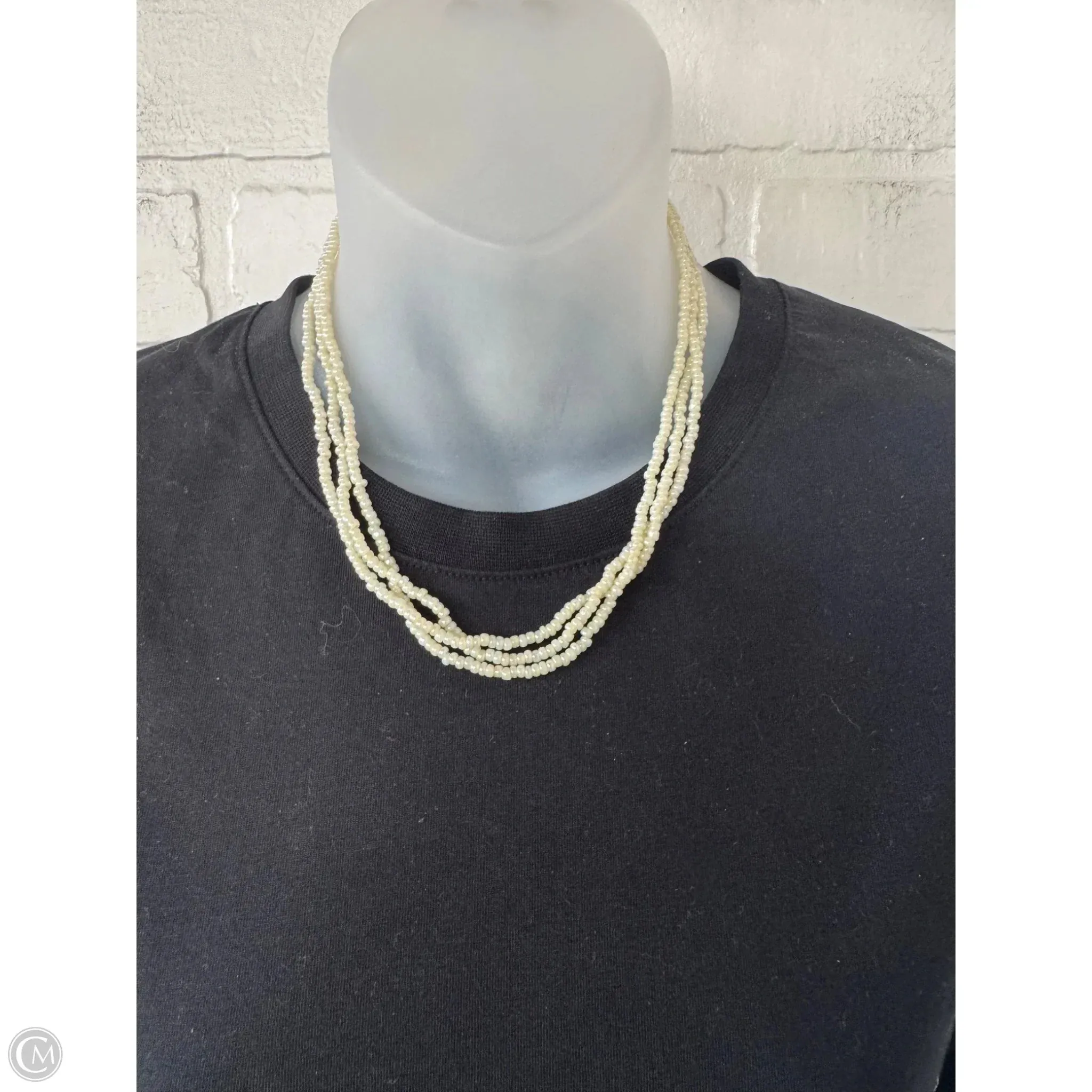 Necklace Layered By Clothes Mentor
