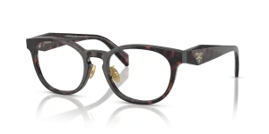Prada PR B06VD 17N1O1